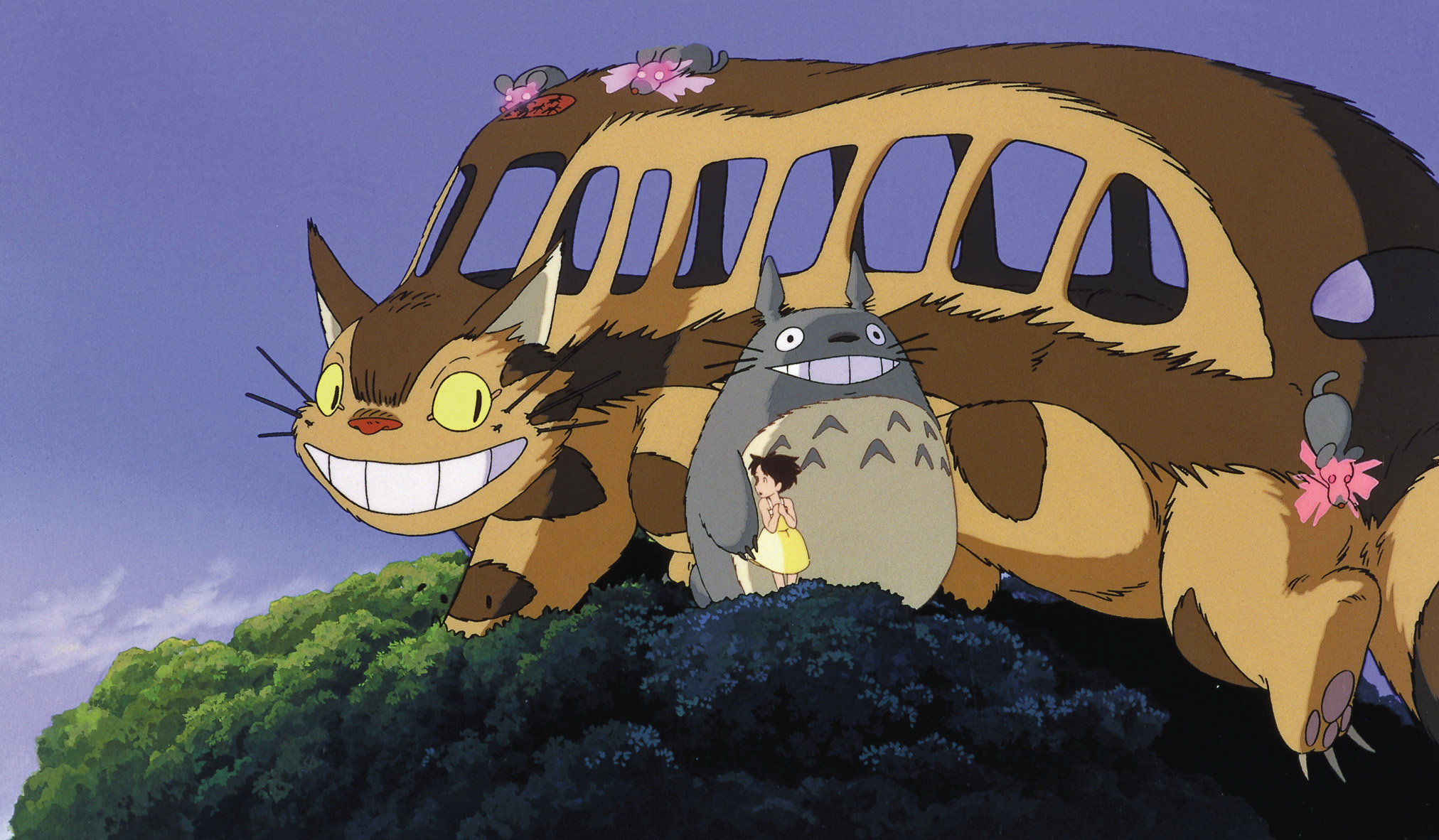 Catbus