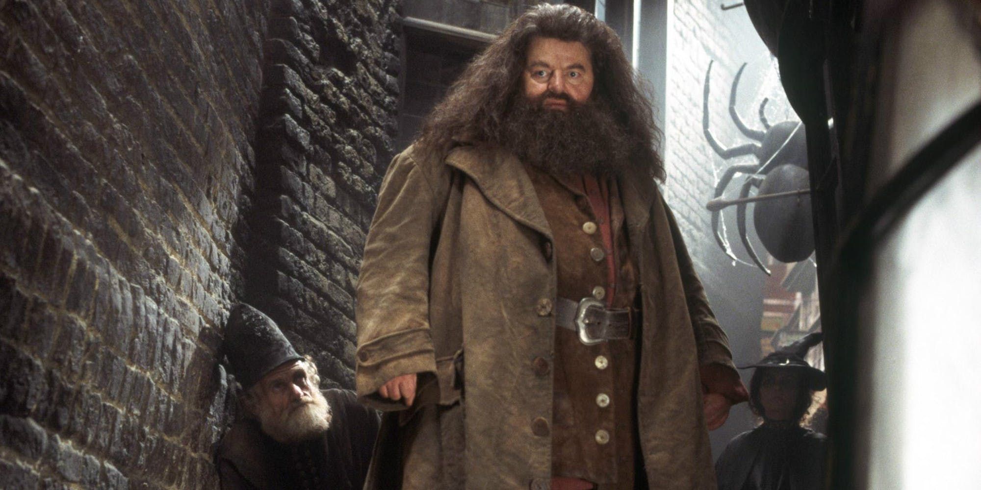 Robbie Coltrane as Hagrid in Harry Potter films 1