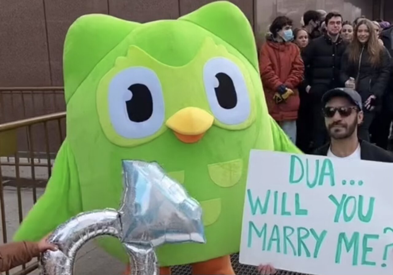 duolingo owl dua lipa proposal