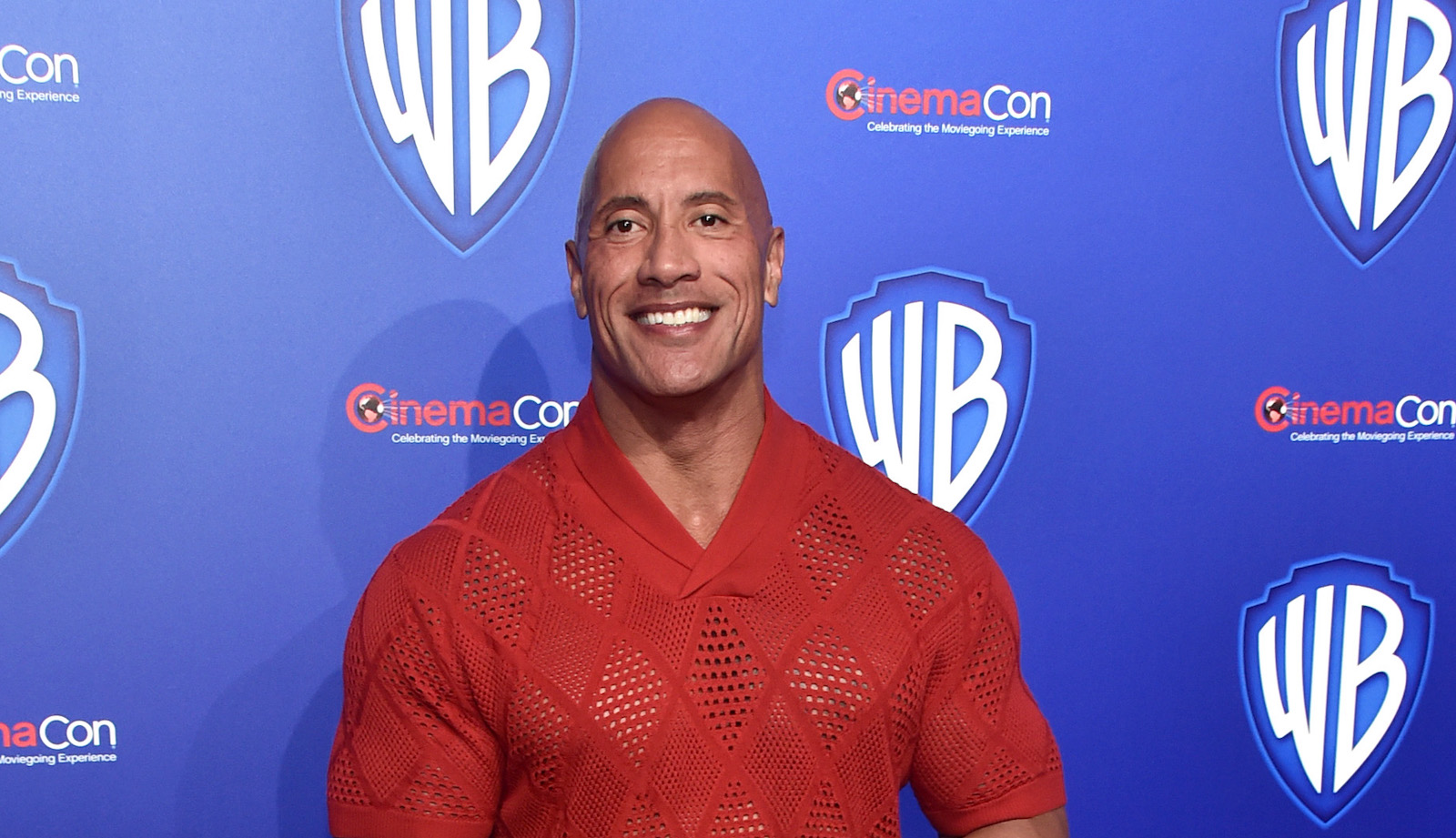 dwayne the rock johnson