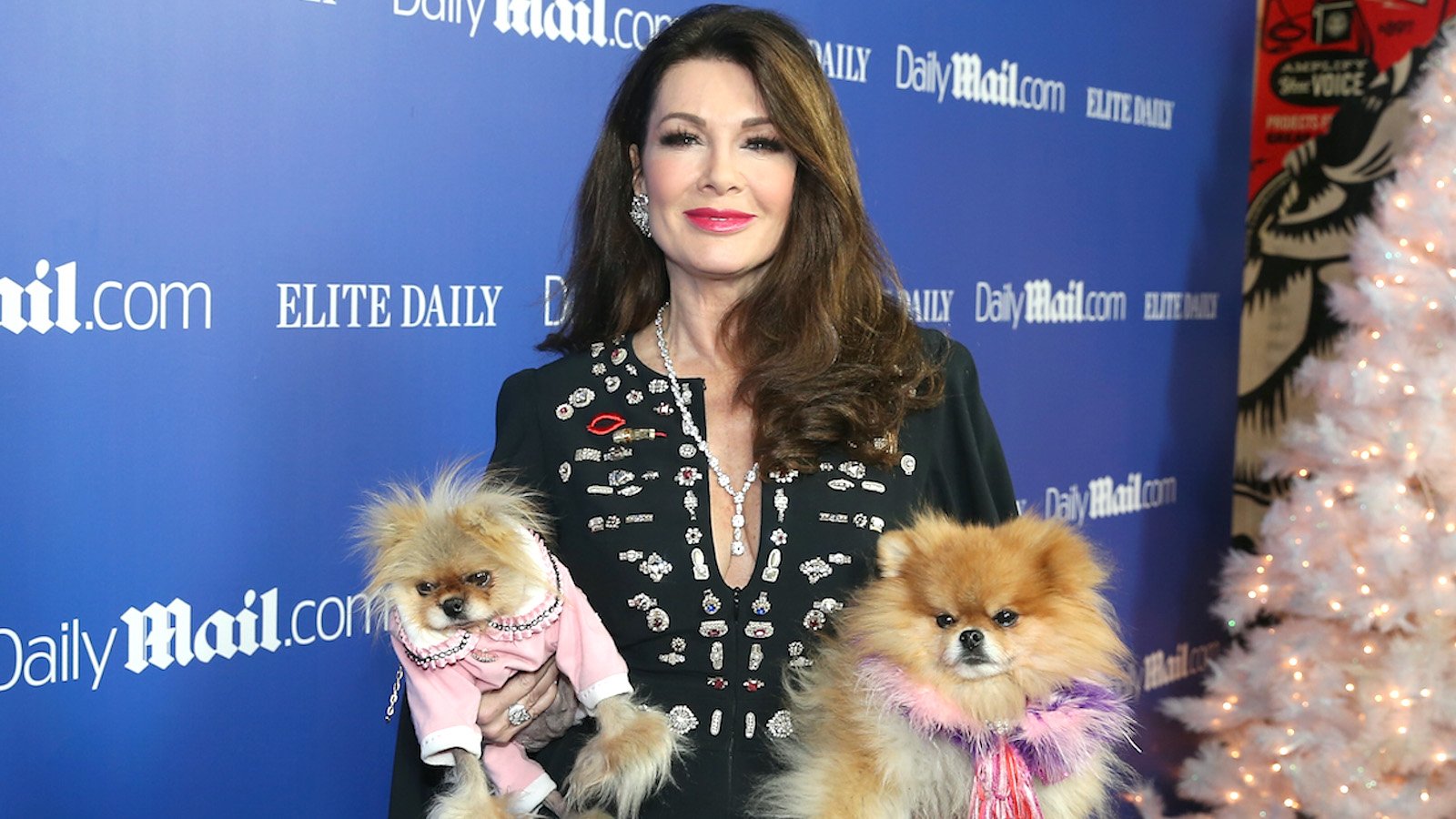 Lisa Vanderpump from The Real Housewives of Beverly Hills is holding her two dogs.