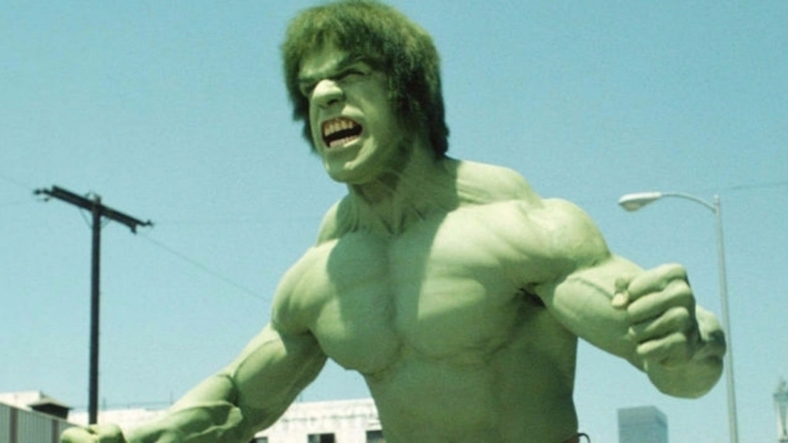 lou ferrigno hulk