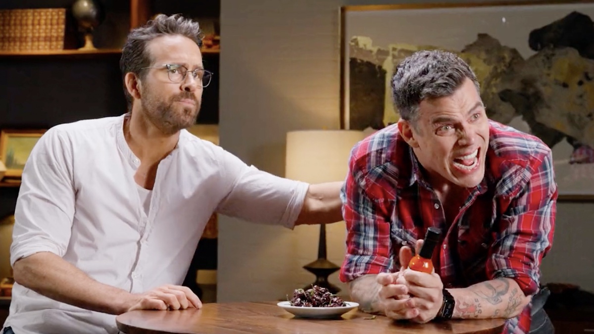 ryan reynolds mntn commercial with steve-o mntn