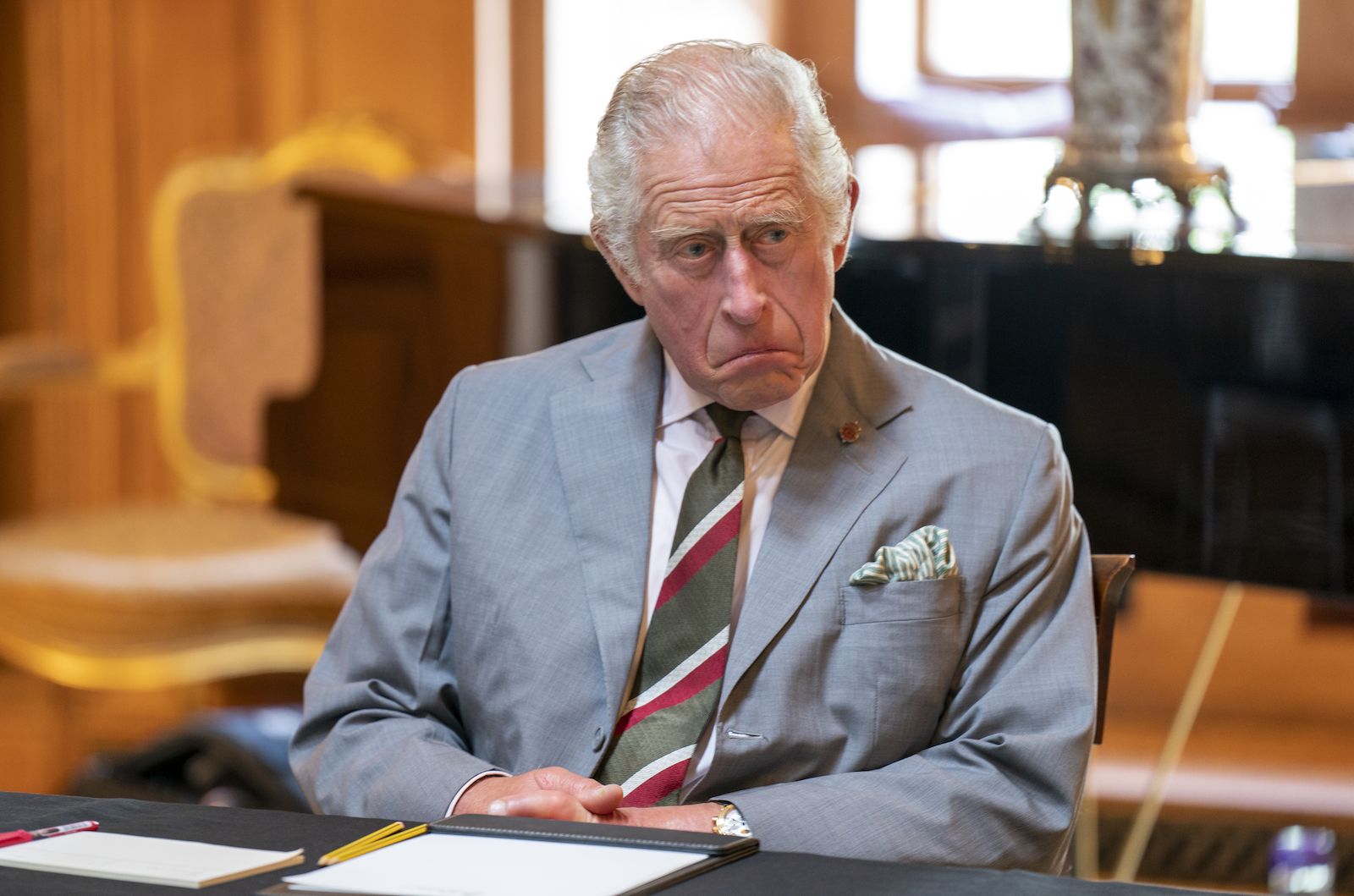 Prince Charles at the Natasha Allergy Research Foundation seminar