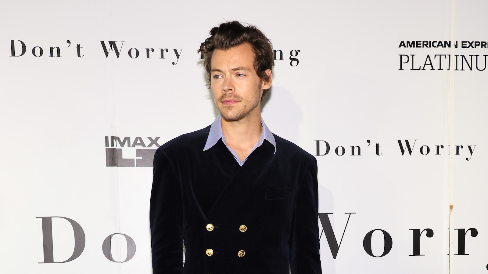 Harry Styles' 'My Policeman' Co-stars Reveal What They Thought of Him
