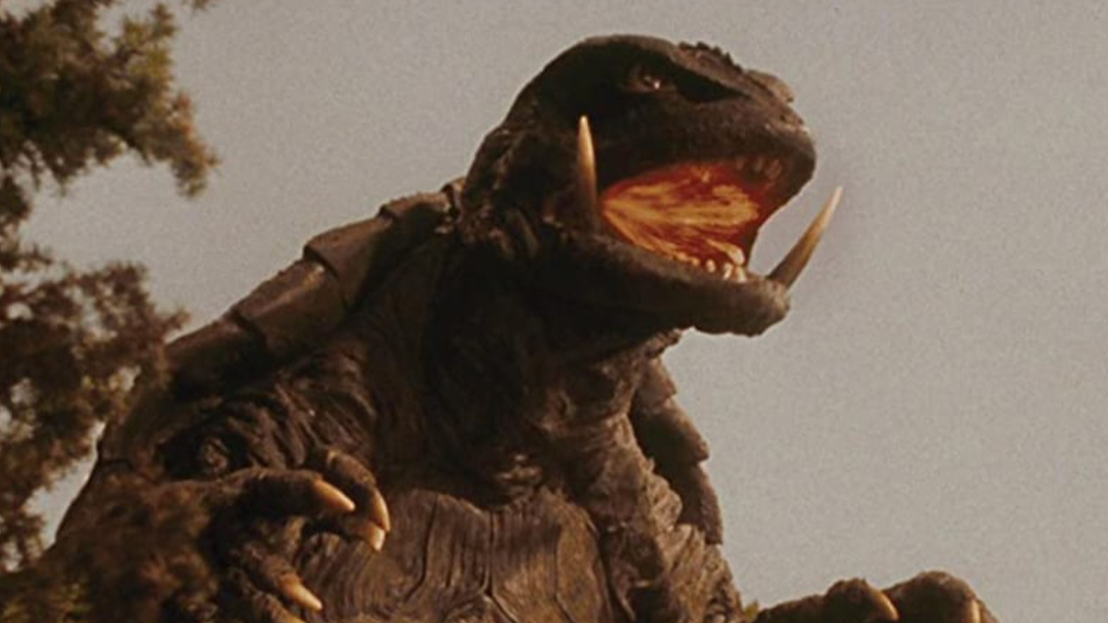 Gamera