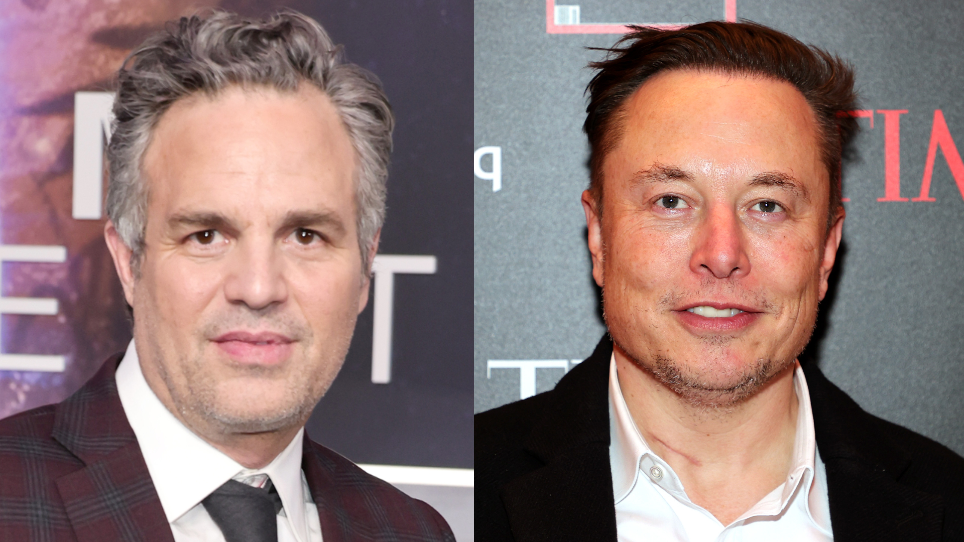 Mark Ruffalo and Elon Musk