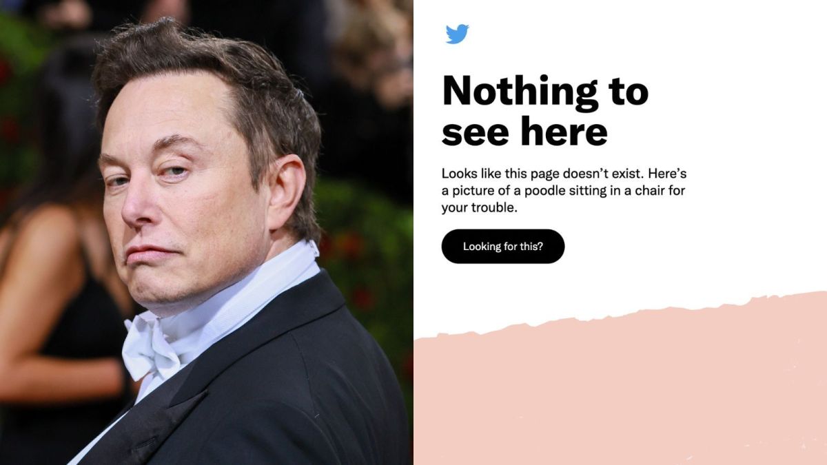 Elon Musk, Twitter