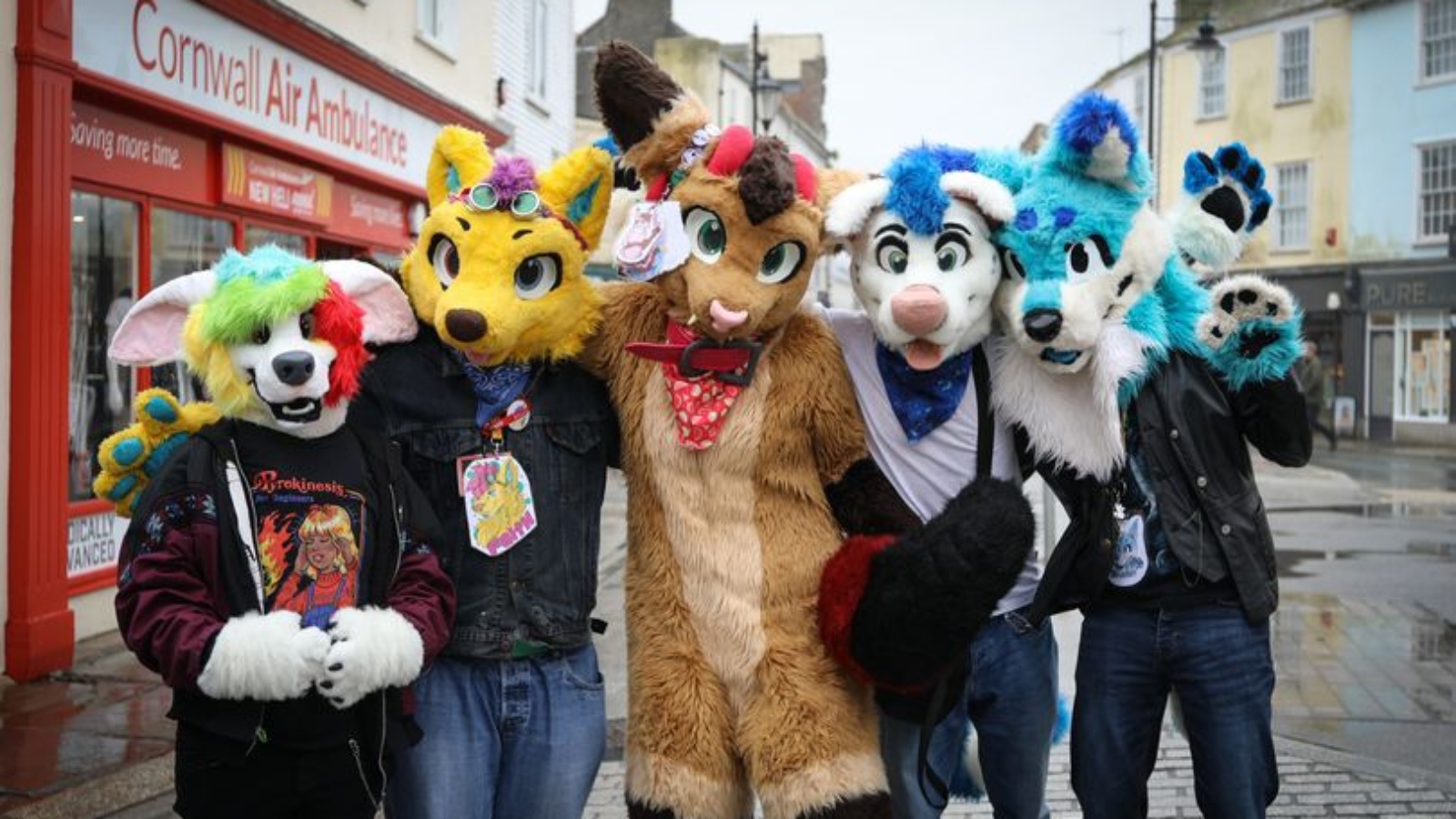 Furries in Cornwall