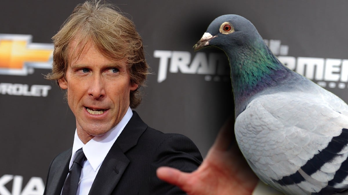 Michael Bay vs Pigeon