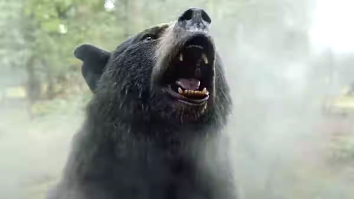 cocaine bear