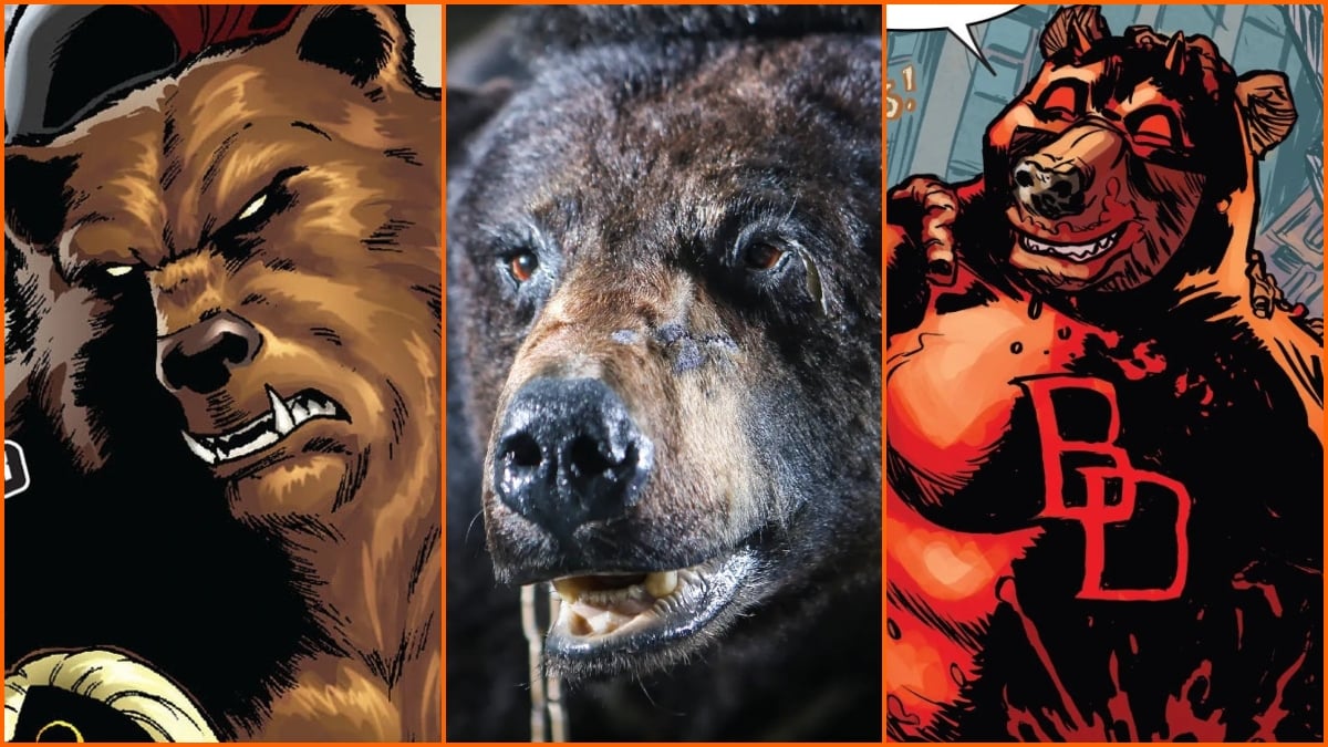 Ursa Major, Cocaine Bear and Beardevil