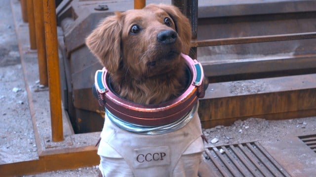 Maria Bakalova as Cosmo the Spacedog in 'Guardians of the Galaxy Vol. 3'