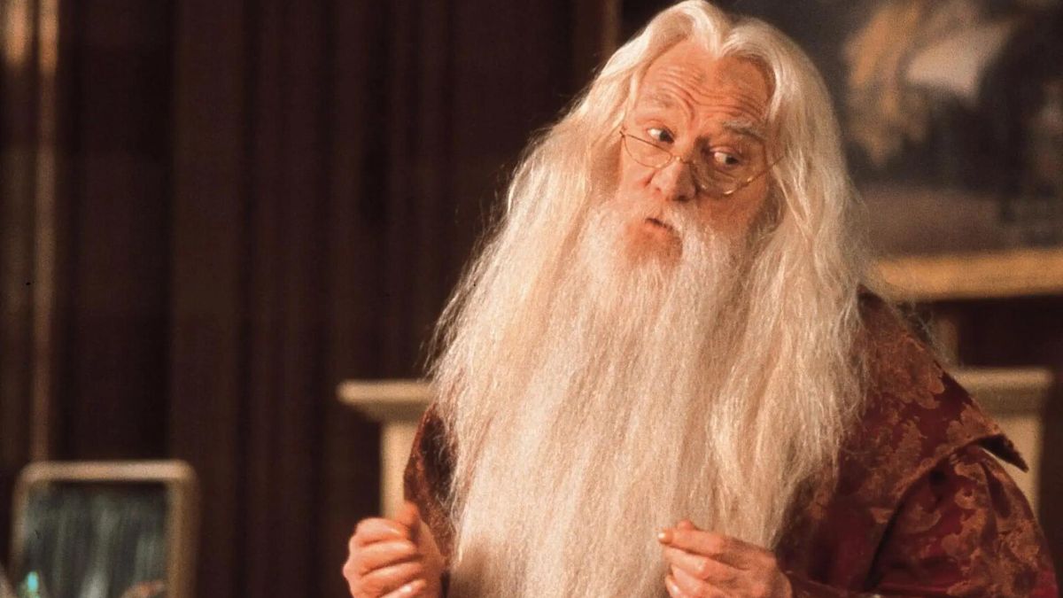 Harry Potter's Dumbledore