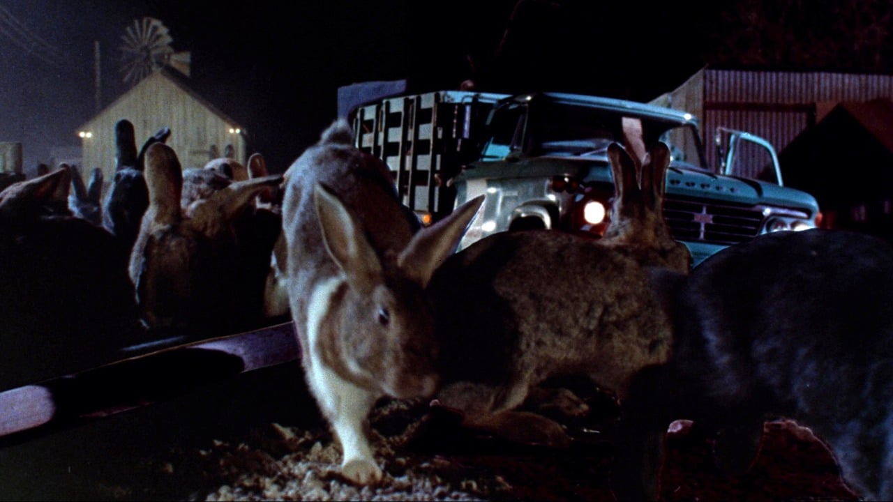 night of the lepus