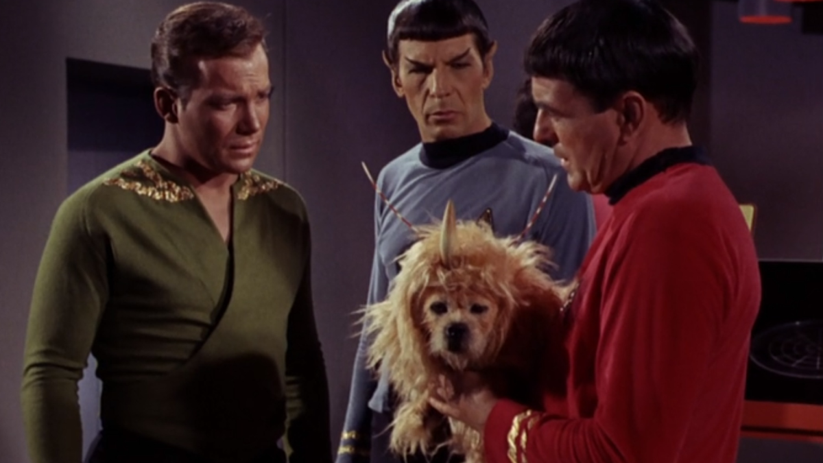 Scotty, Spock, and Kirk looking at a dog with a horn on its head