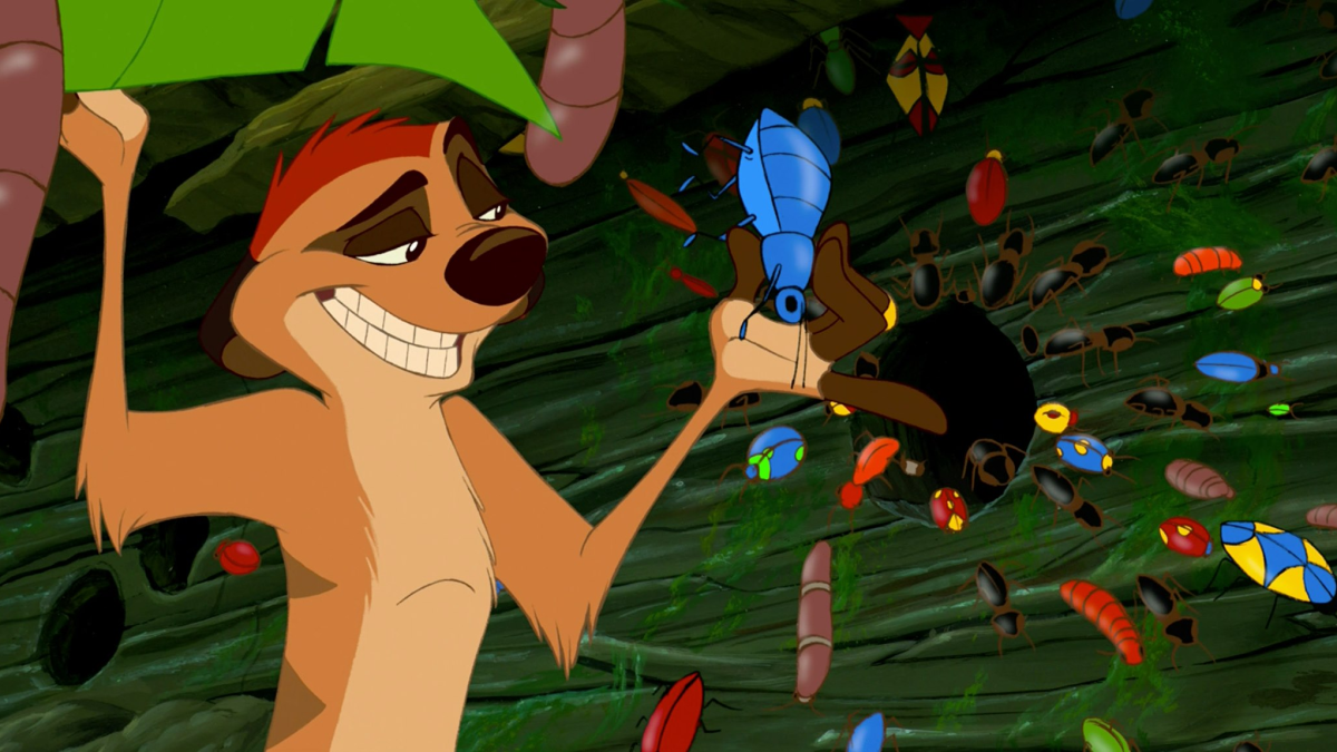 Timon from "The Lion King" eyeing a bug hungrily.
