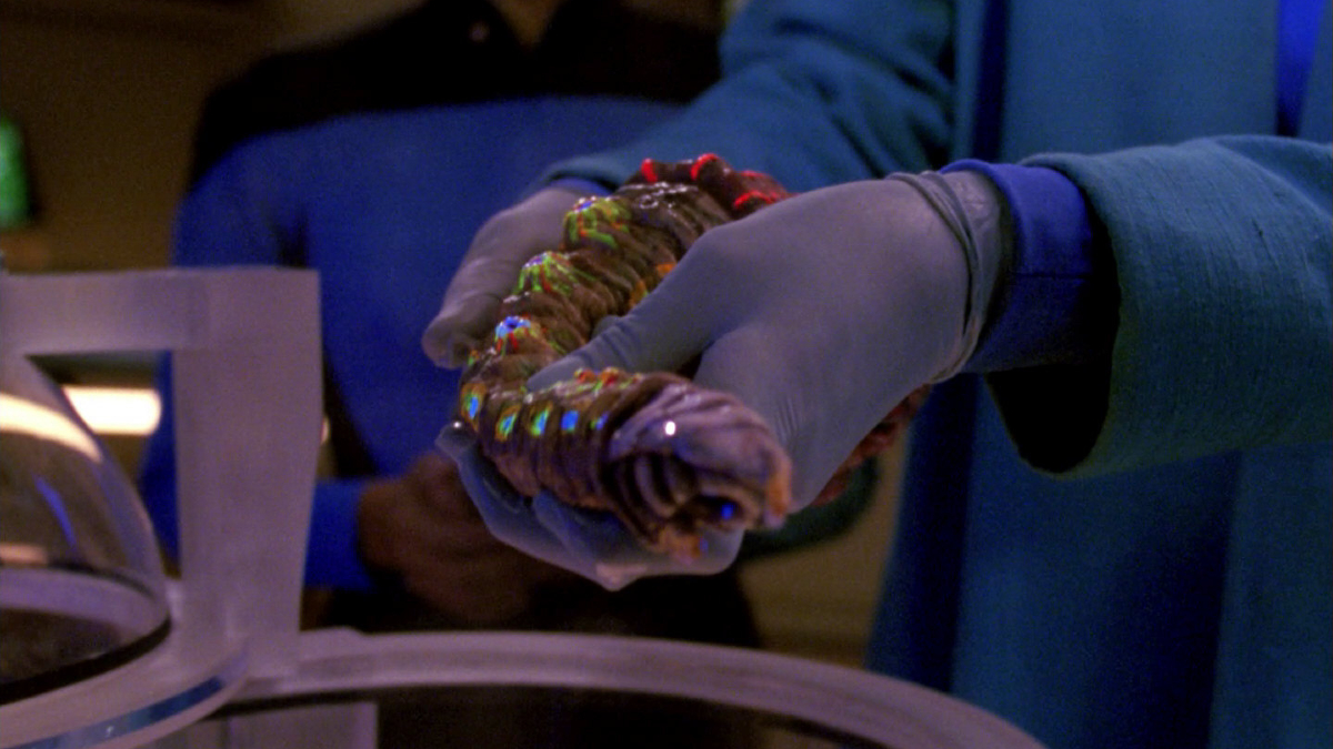 A strange alien worm-like creature held in the hands of a doctor wearing gloves.