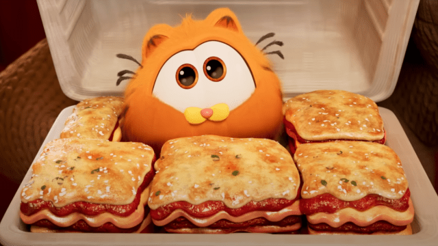 Baby Garfield in a box of lasagna