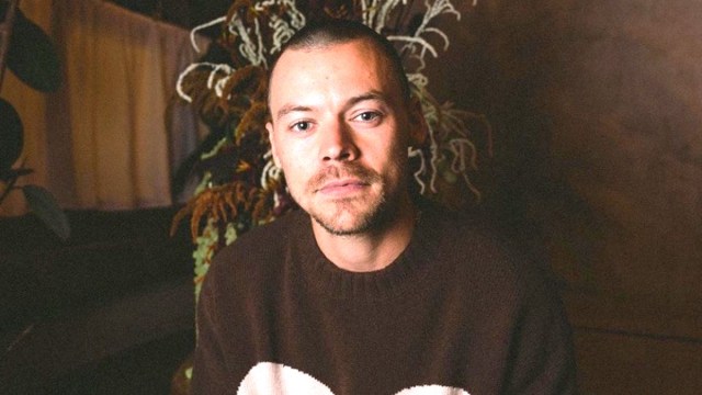 Harry Styles, with buzzcut, models his swans sweater for Pleasing