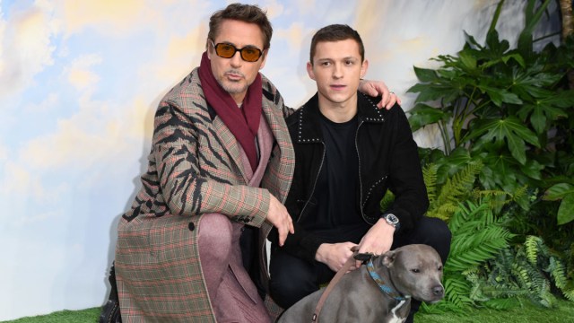 Robert Downey Jr. and Tom Holland attend the "Dolittle" special screening at Cineworld Leicester Square on January 25, 2020 in London, England.
