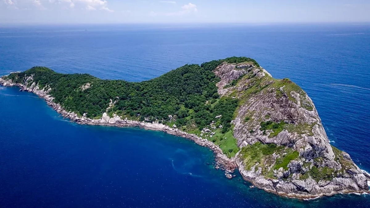 Snake Island aerial photo