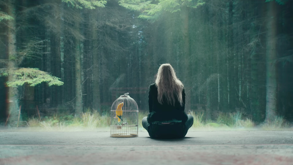 The Watchers Dakota Fanning Sitting With Canary