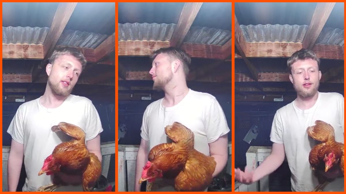 Side by side images of a man holding a chicken during nighttime.