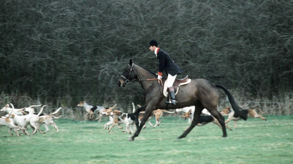 Prince Charles Hunting In Cheshire. He Is Following A Pack Of Hounds On Horseback. (Photo by Tim Graham Photo Library via Getty Images)