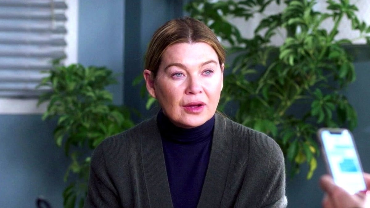 'Grey's Anatomy' Season 2024 Finale Explained