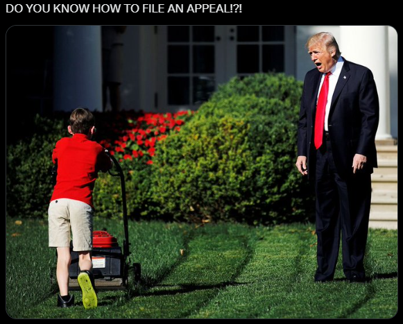 Trump and lawn kid meme 