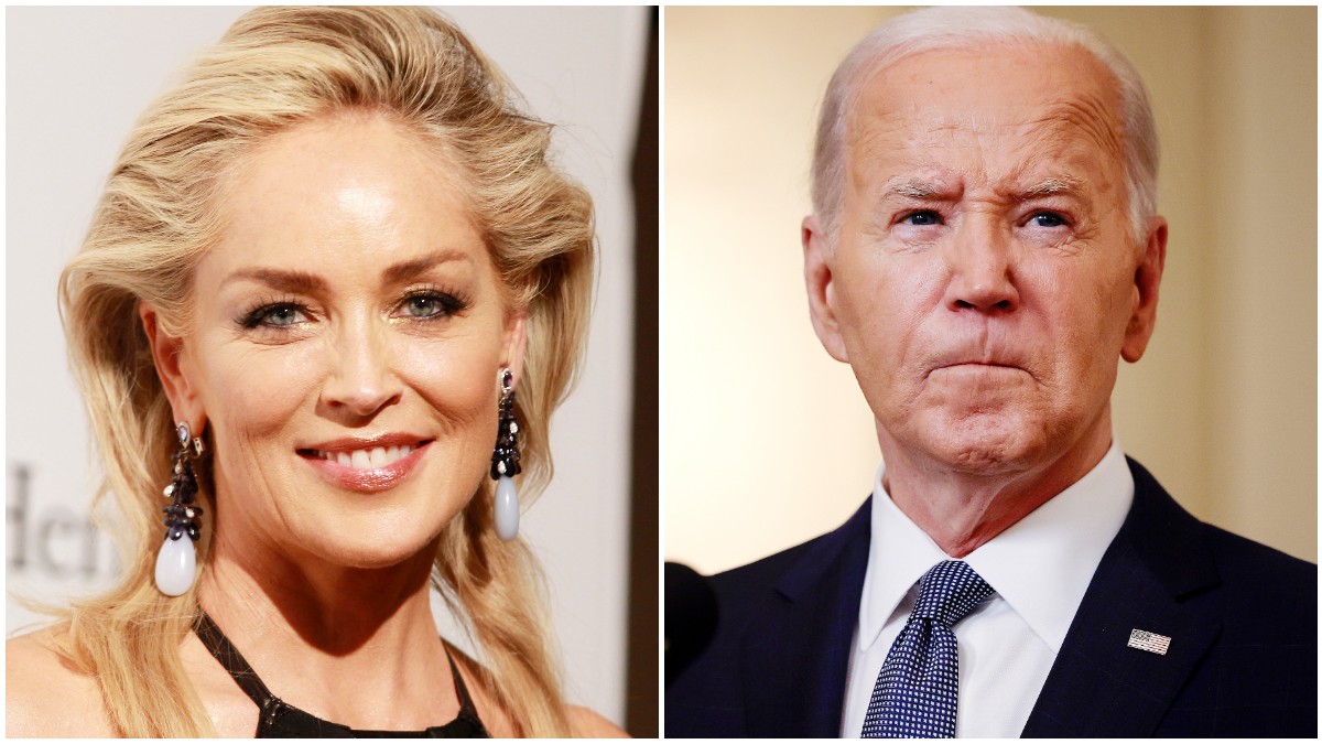 Sharon Stone on Sleepy Joe Biden