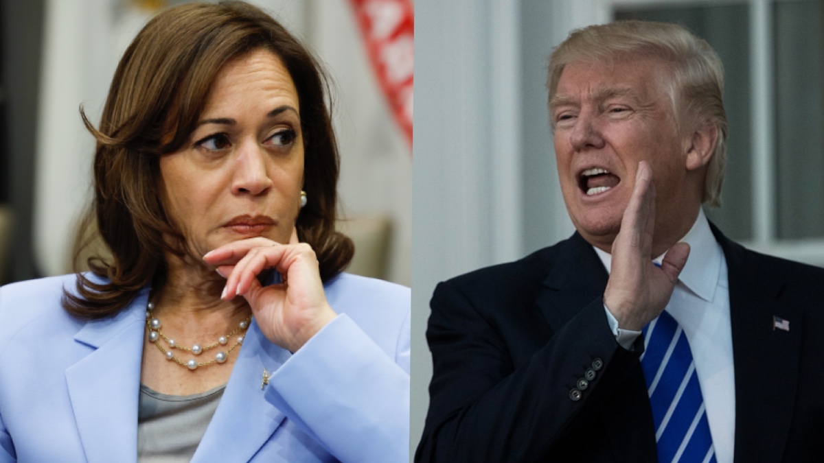 Trump and Kamala split photo