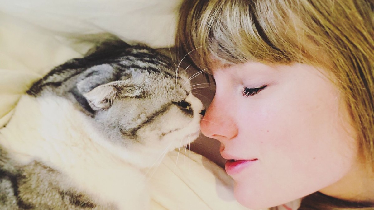 Taylor Swift cat aldy JD Vance Swifties