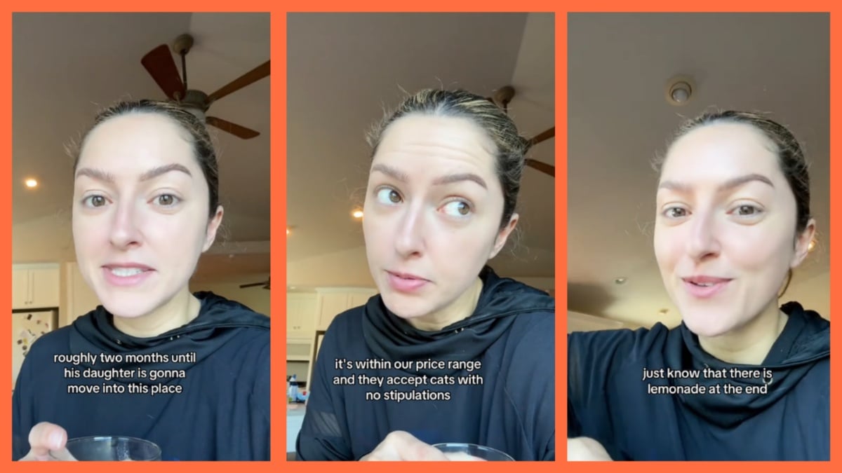 TikTok screenshots via @shanndetrick