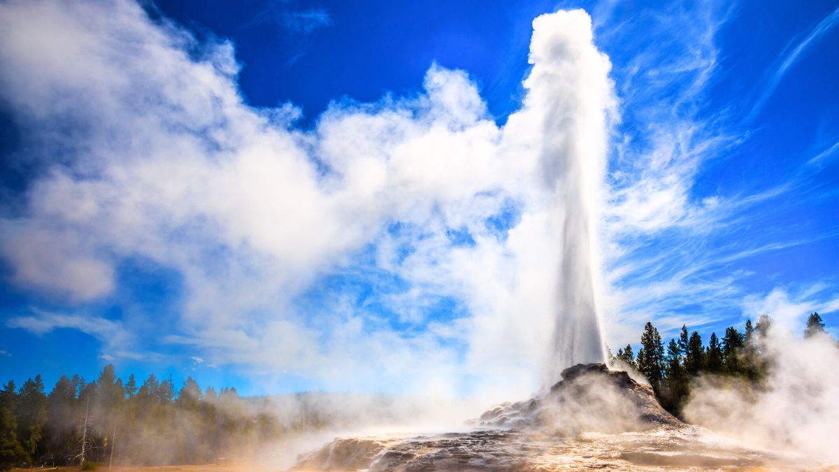 Castle Geyser erupting in Yellowstone in strong back light.