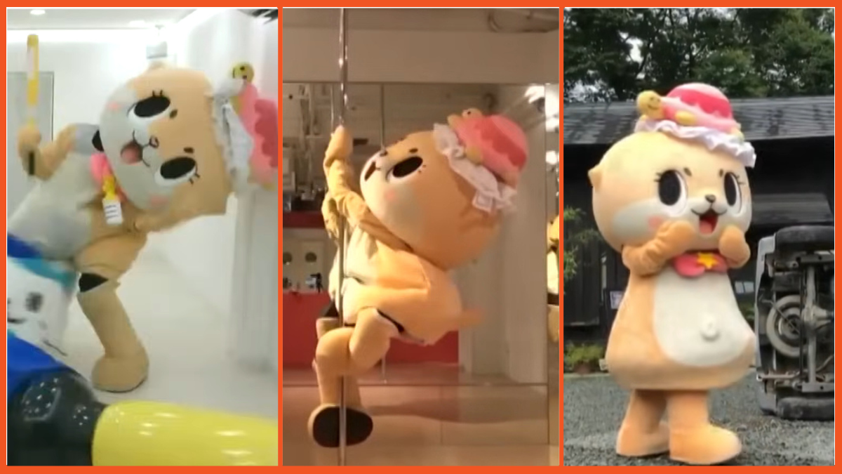 chiitan john oliver japan otter