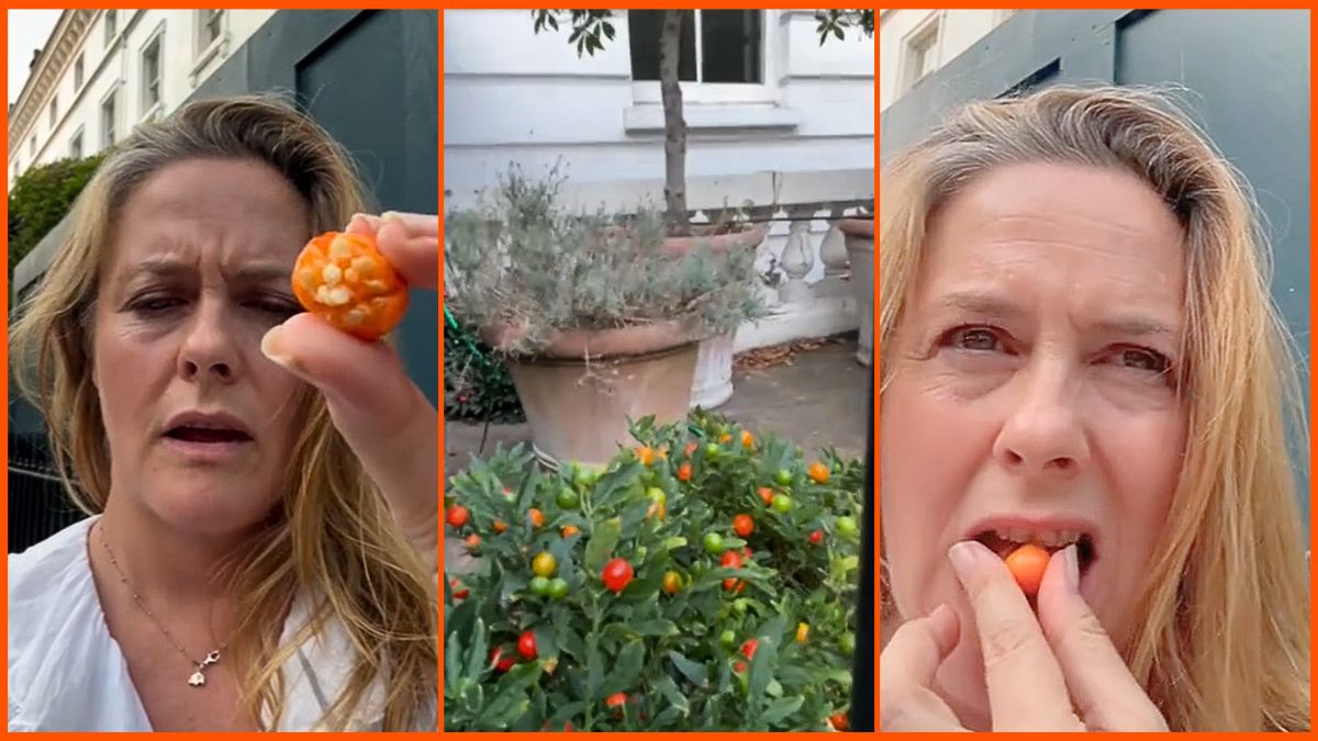 Alicia Silverstone eats a poisonous berry on TikTok.