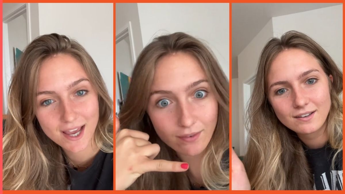 TikTok screenshots via @bre_does_art