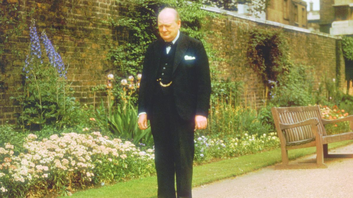 British Prime Minister Sir Winston Churchill (1874 - 1965) in the garden at 10 Downing Street, London, circa 1943.